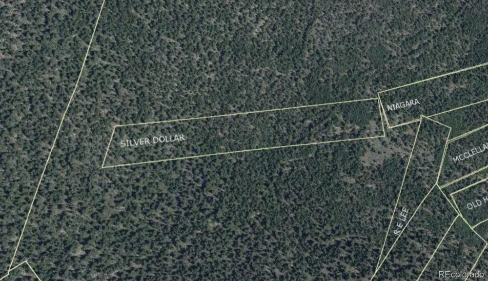 000 Silver Dollar Lode