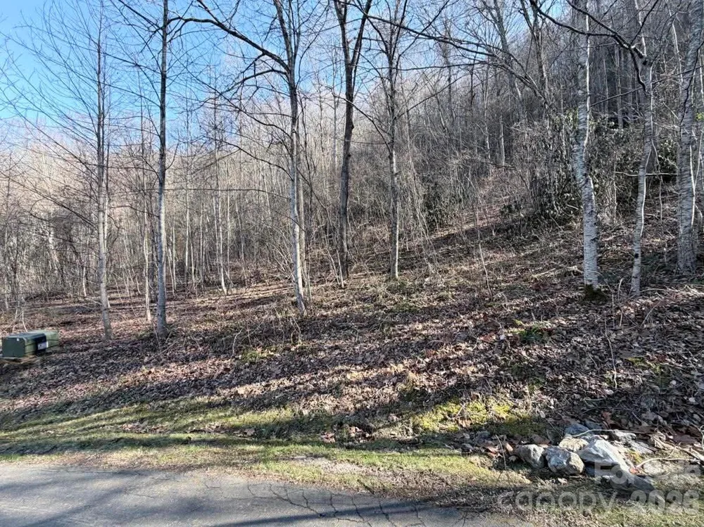 76 View Ridge Parkway #7 Leicester, NC 28748