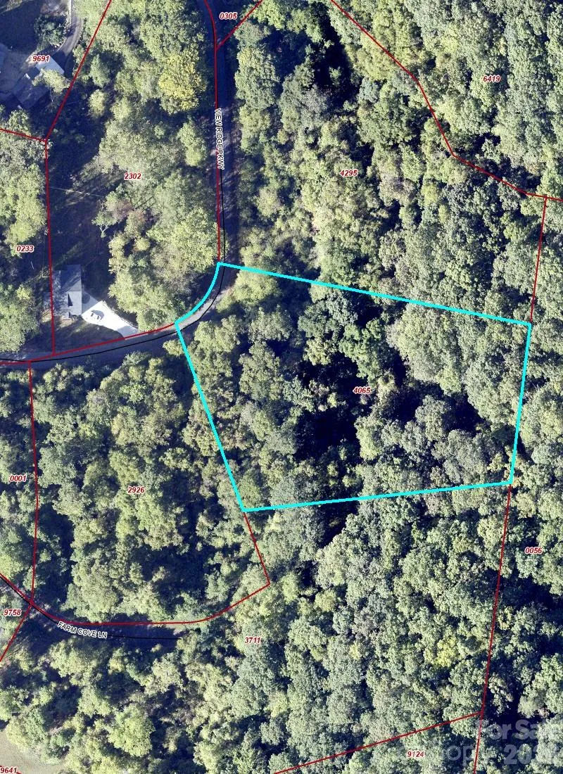 76 View Ridge Parkway #7 Leicester, NC 28748