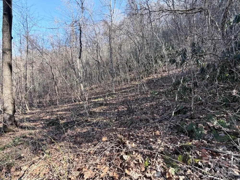 76 View Ridge Parkway #7 Leicester, NC 28748
