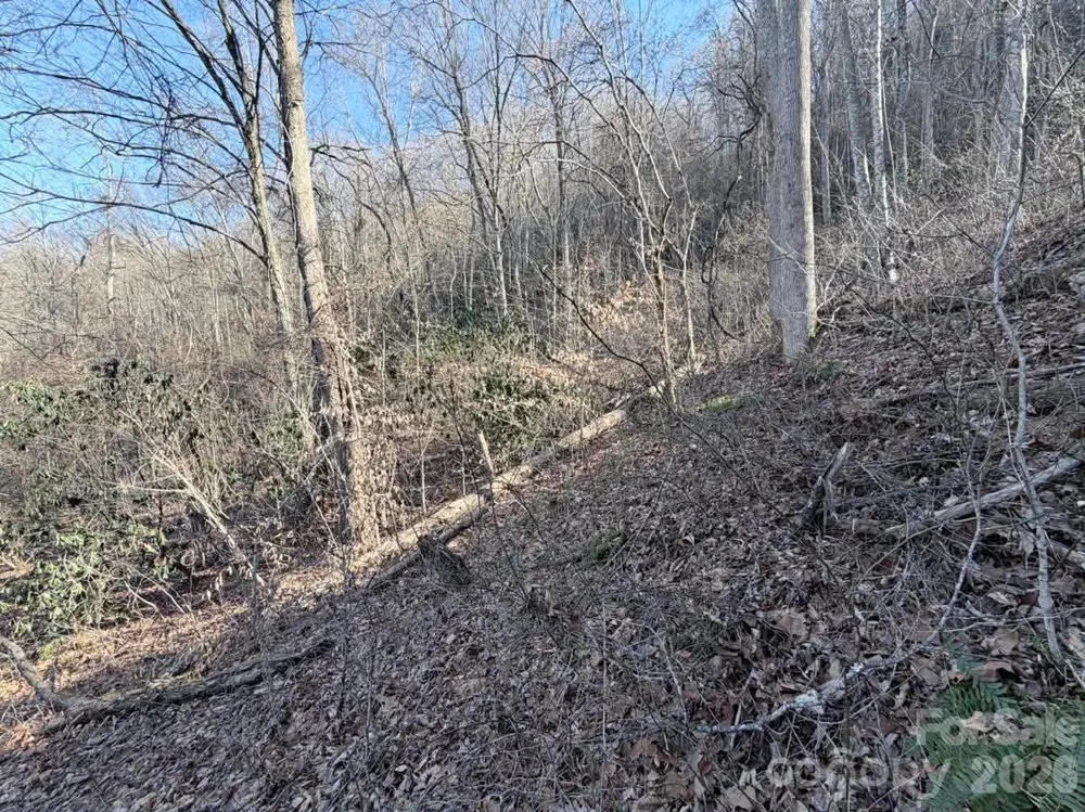 76 View Ridge Parkway #7 Leicester, NC 28748