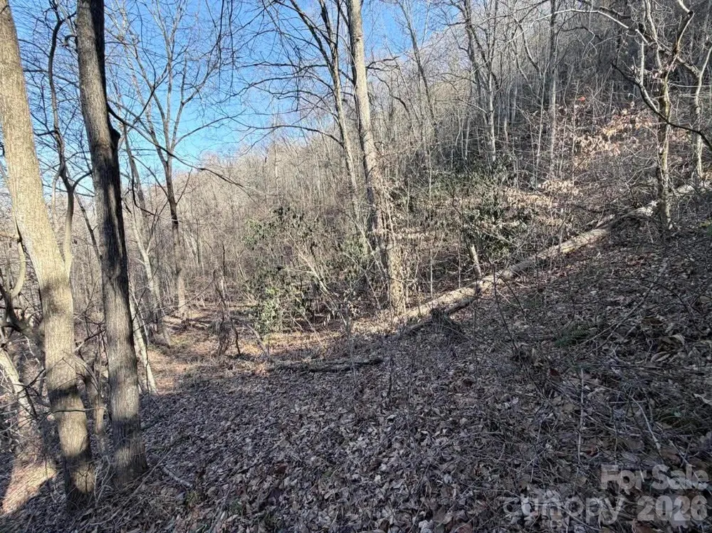 76 View Ridge Parkway #7 Leicester, NC 28748