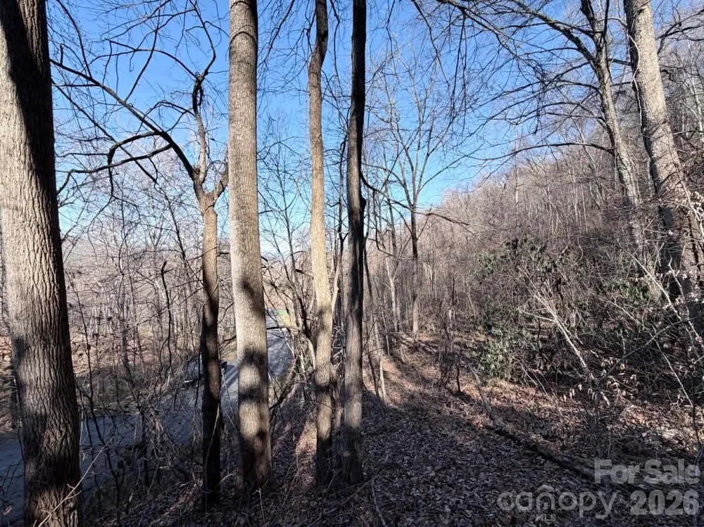 76 View Ridge Parkway #7 Leicester, NC 28748