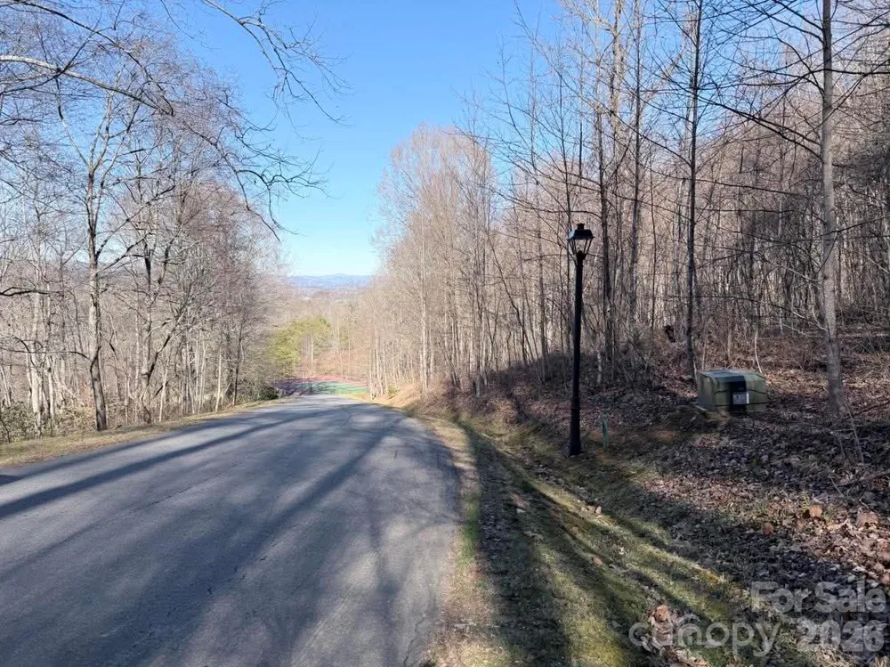 76 View Ridge Parkway #7 Leicester, NC 28748