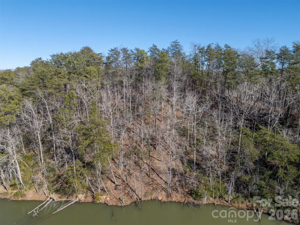 000 Indian Summer Lane #4 Mill Spring, NC 28756