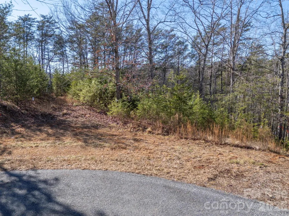 000 Indian Summer Lane #4 Mill Spring, NC 28756