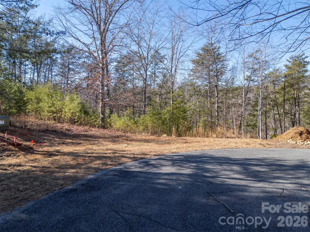 000 Indian Summer Lane #4 Mill Spring, NC 28756