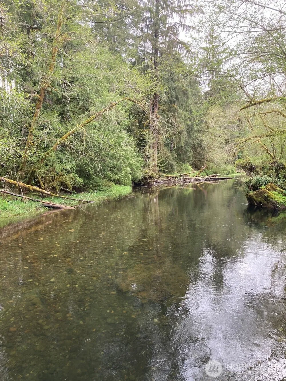 0 East of Bingham Creek Elma, WA 98541