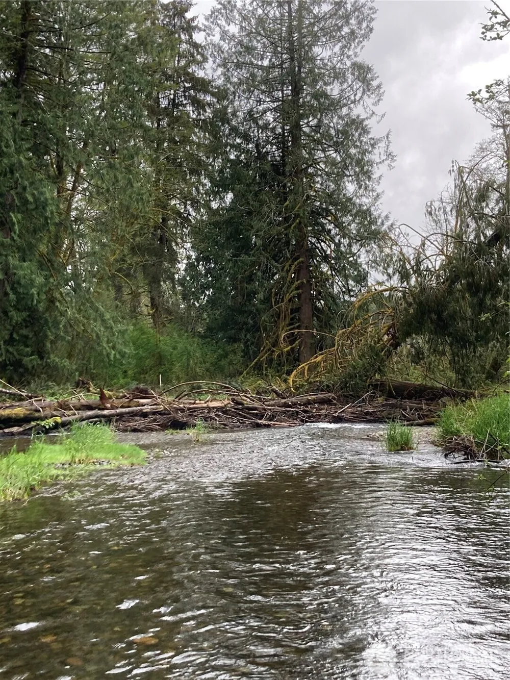0 East of Bingham Creek Elma, WA 98541