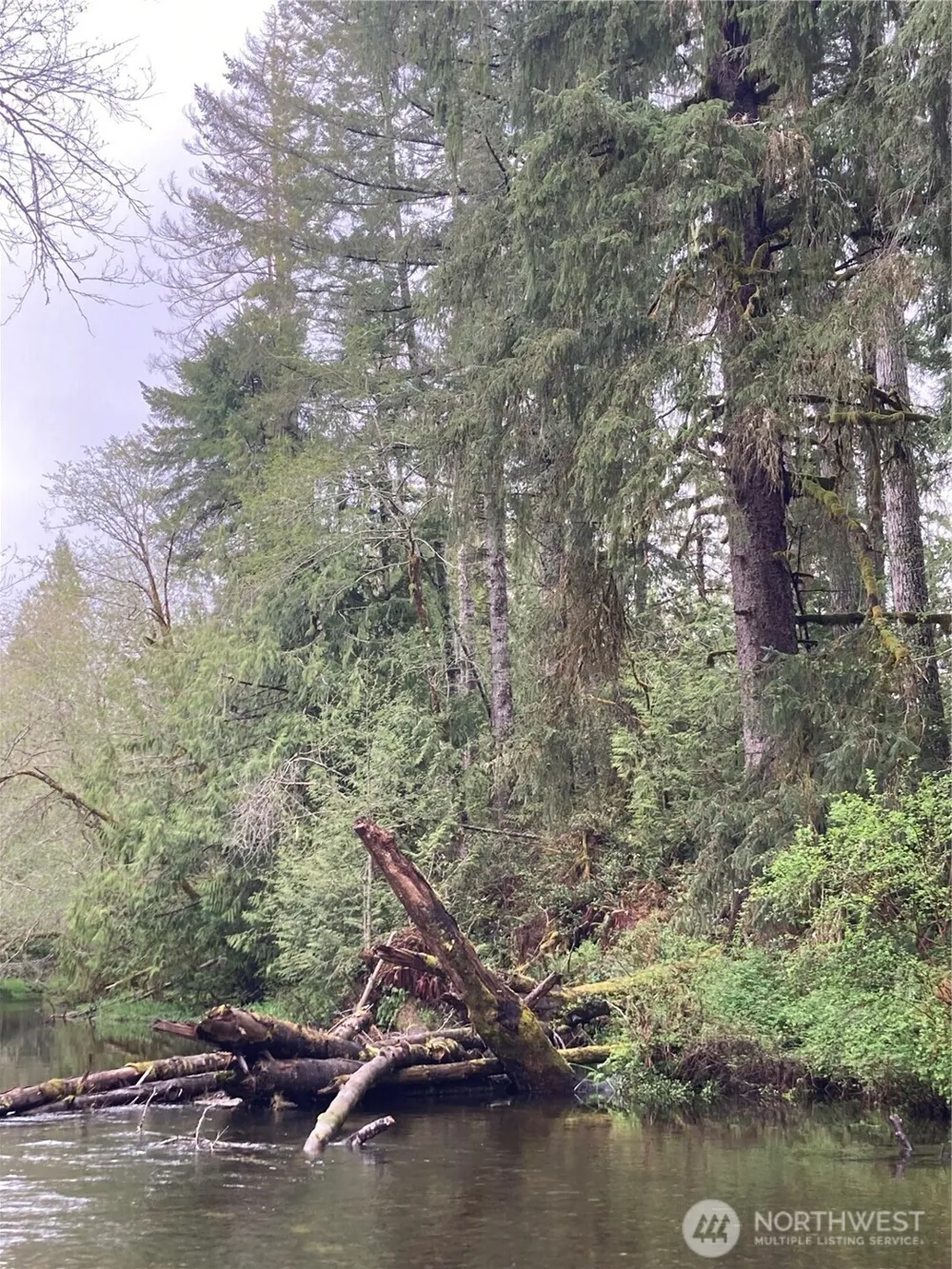 0 East of Bingham Creek Elma, WA 98541