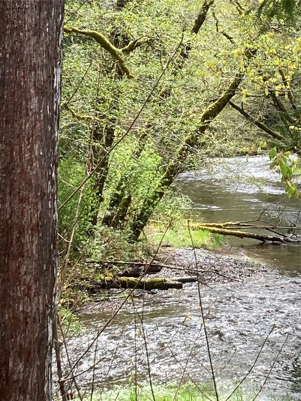 0 East of Bingham Creek Elma, WA 98541