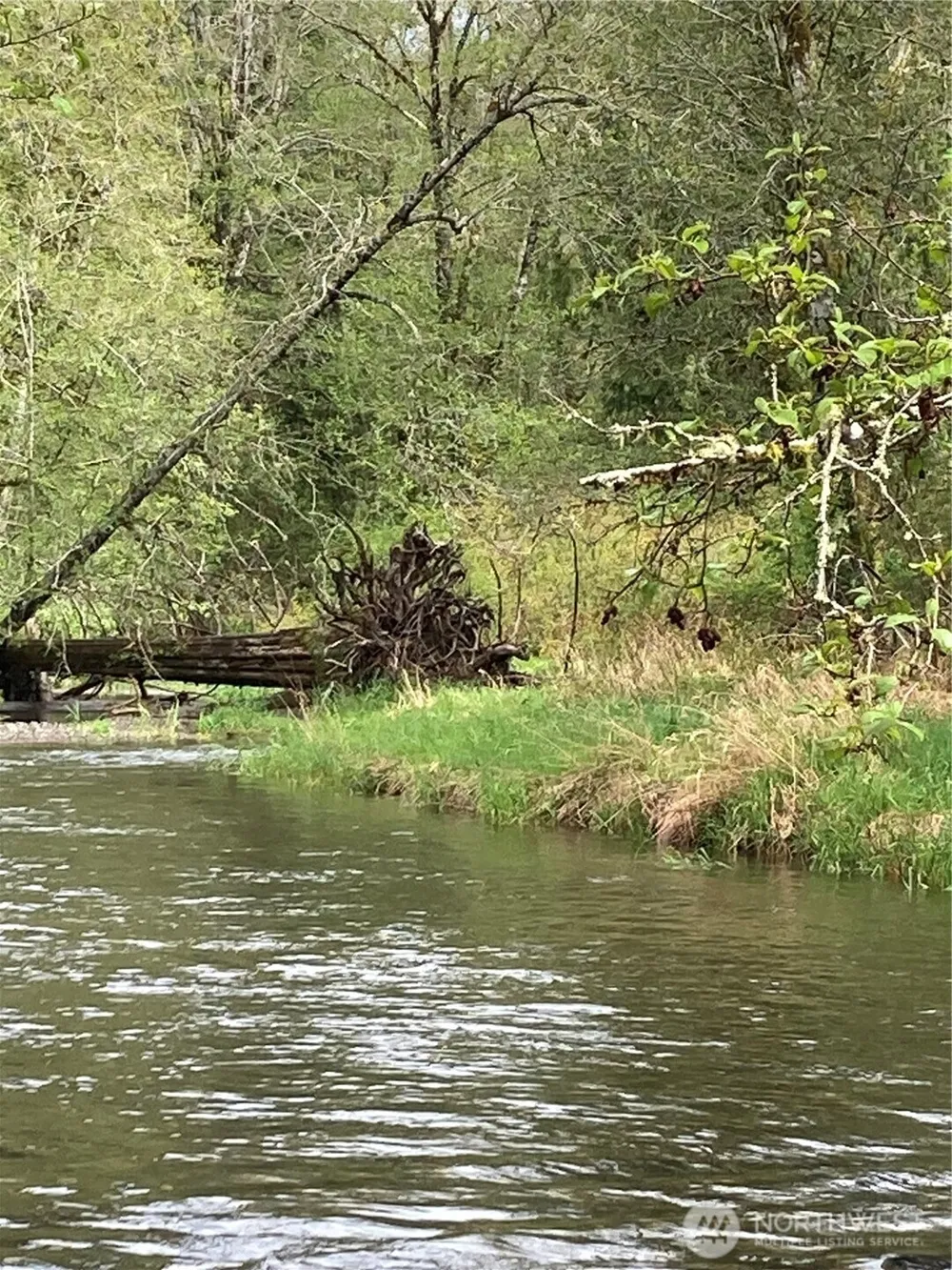 0 East of Bingham Creek Elma, WA 98541