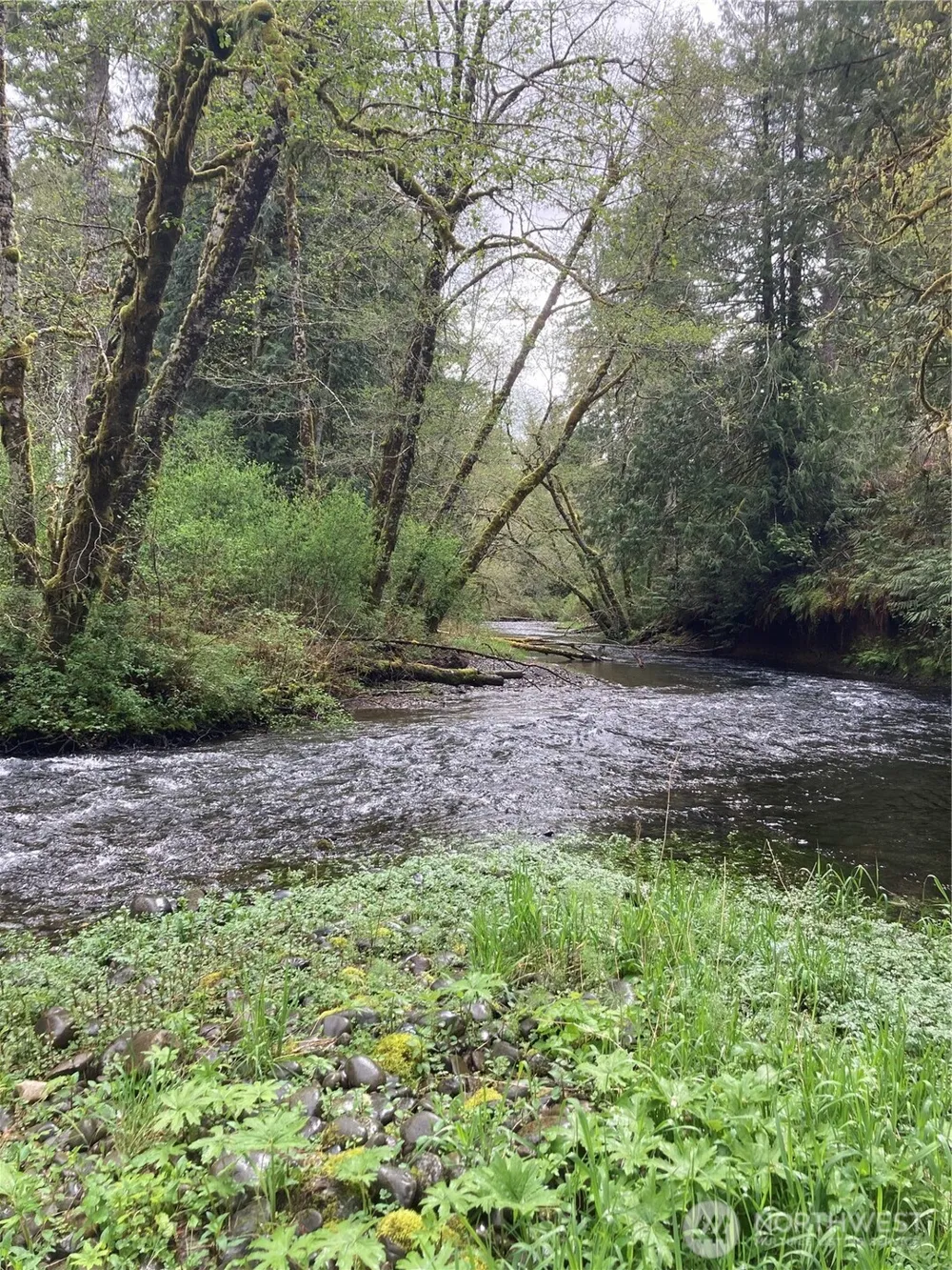 0 East of Bingham Creek Elma, WA 98541