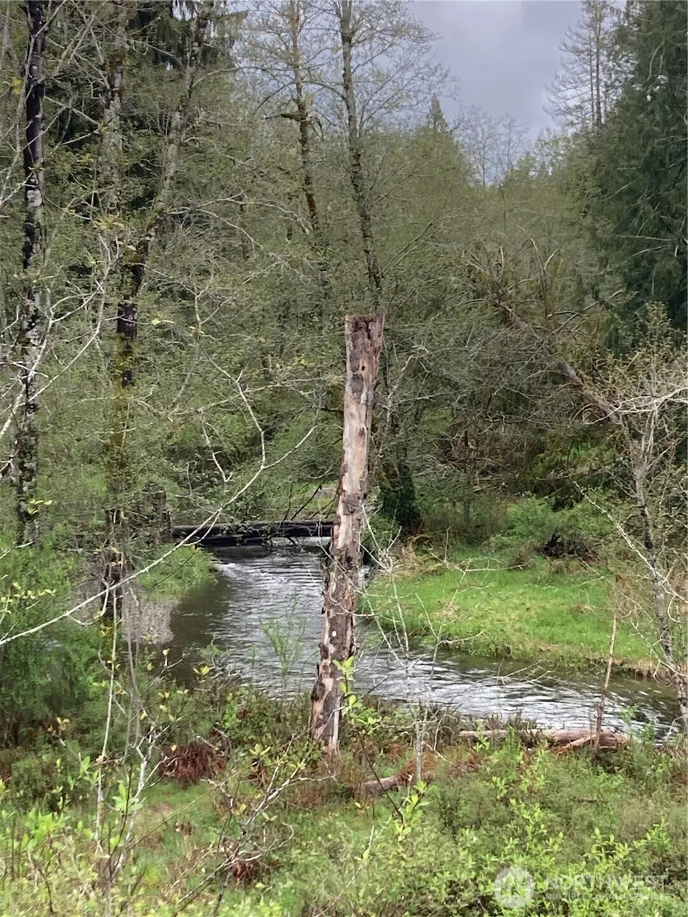 0 East of Bingham Creek Elma, WA 98541