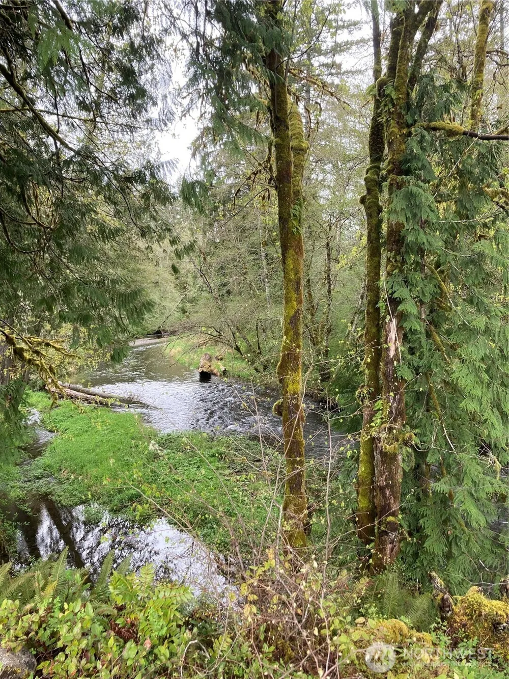 0 East of Bingham Creek Elma, WA 98541