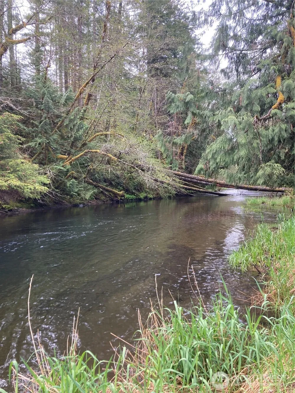 0 East of Bingham Creek Elma, WA 98541