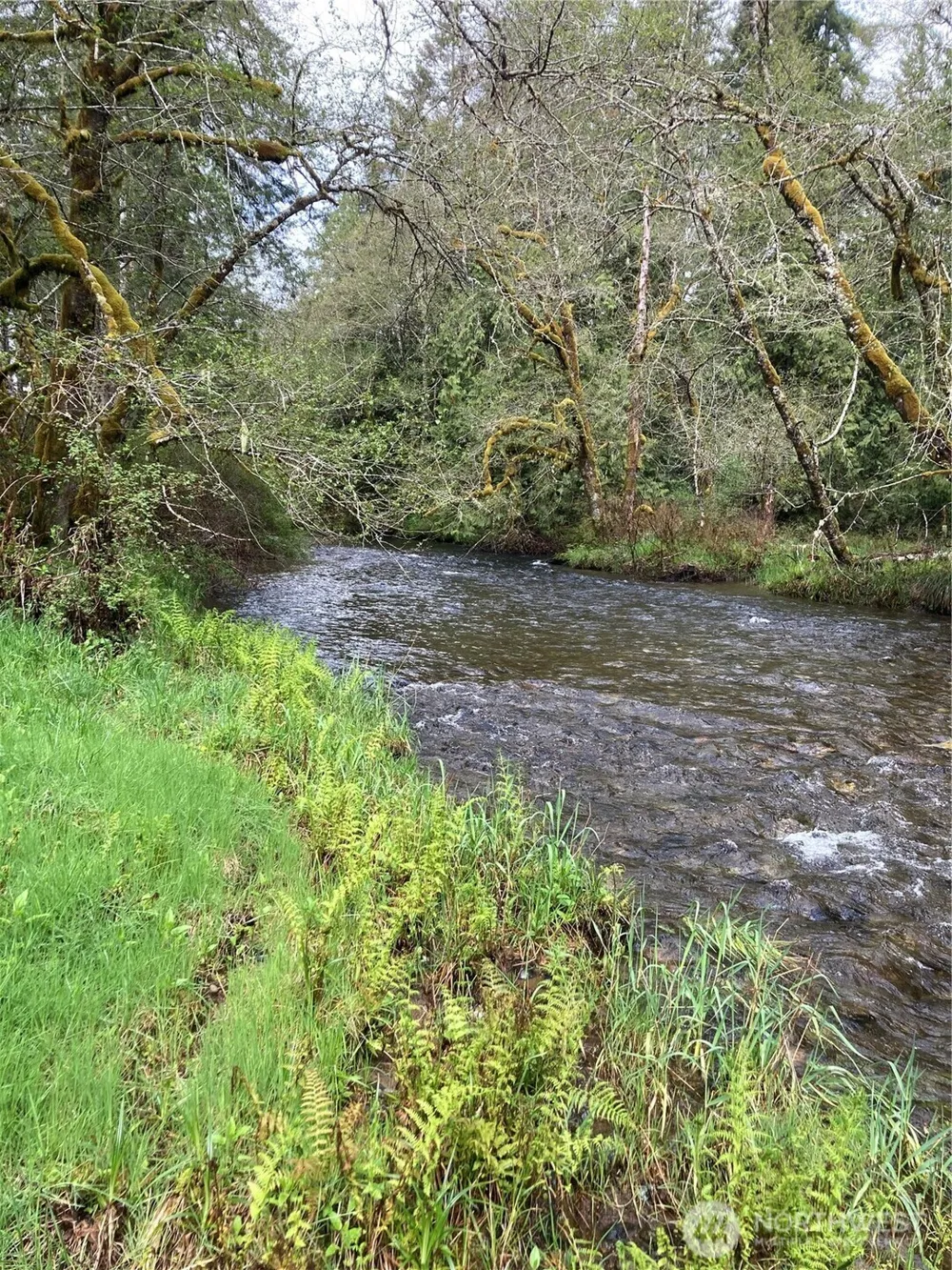 0 East of Bingham Creek Elma, WA 98541