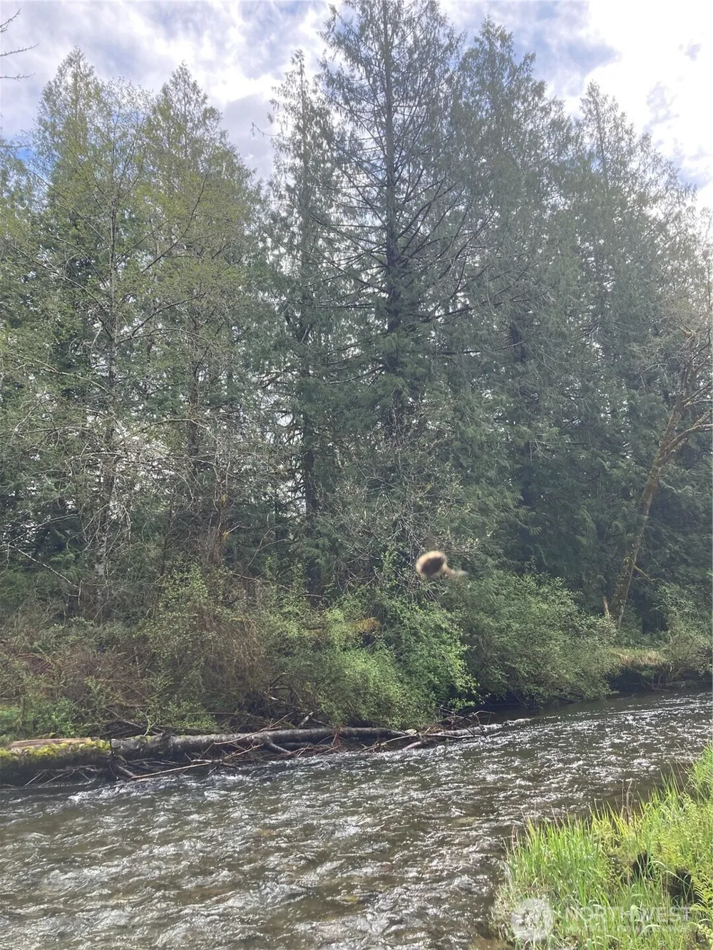 0 East of Bingham Creek Elma, WA 98541
