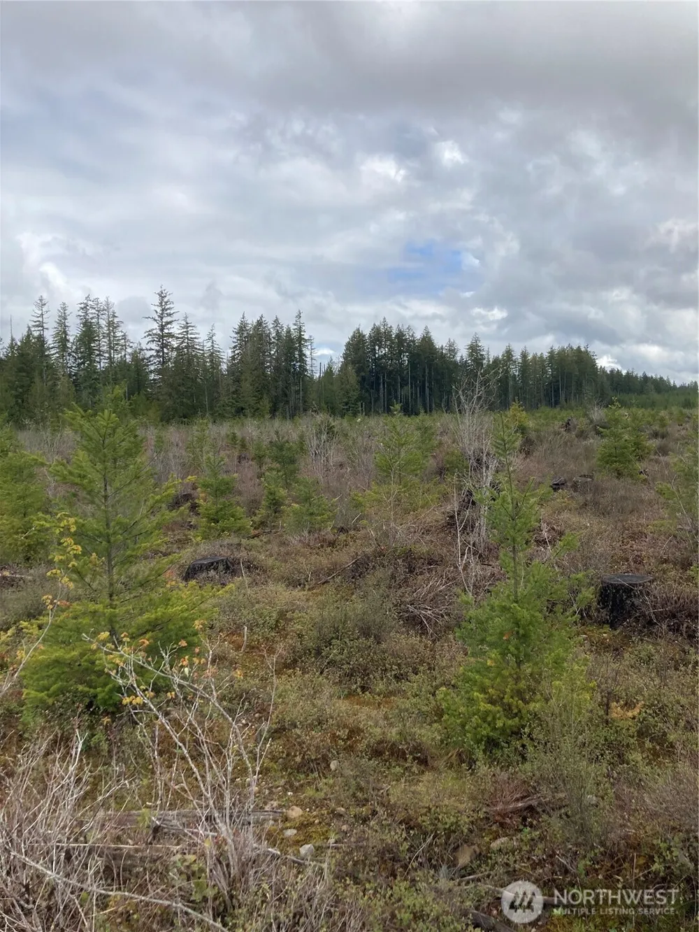 0 East of Bingham Creek Elma, WA 98541