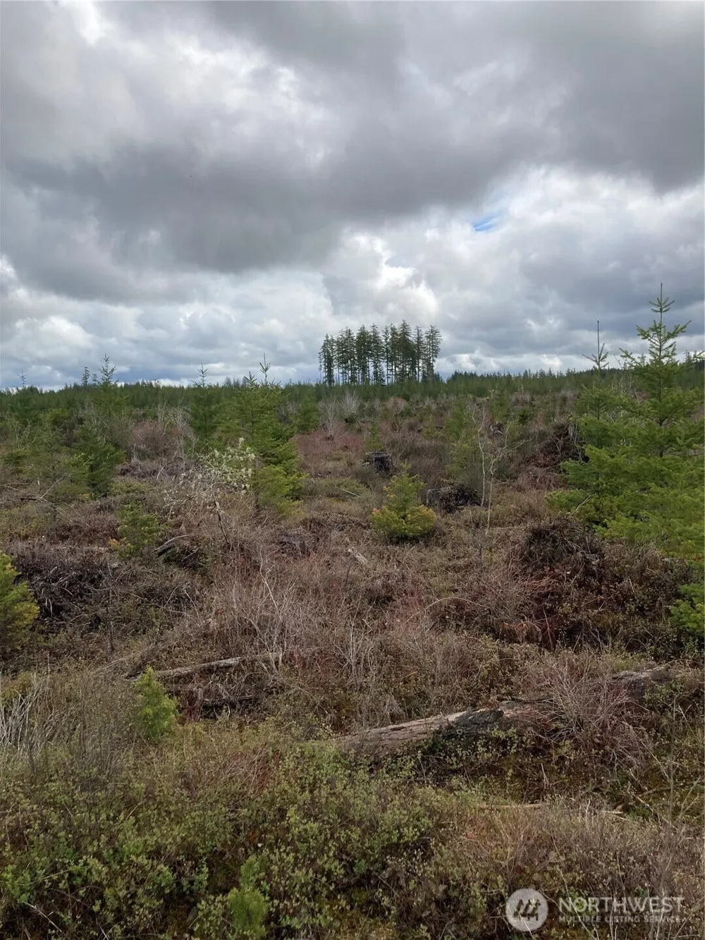 0 East of Bingham Creek Elma, WA 98541