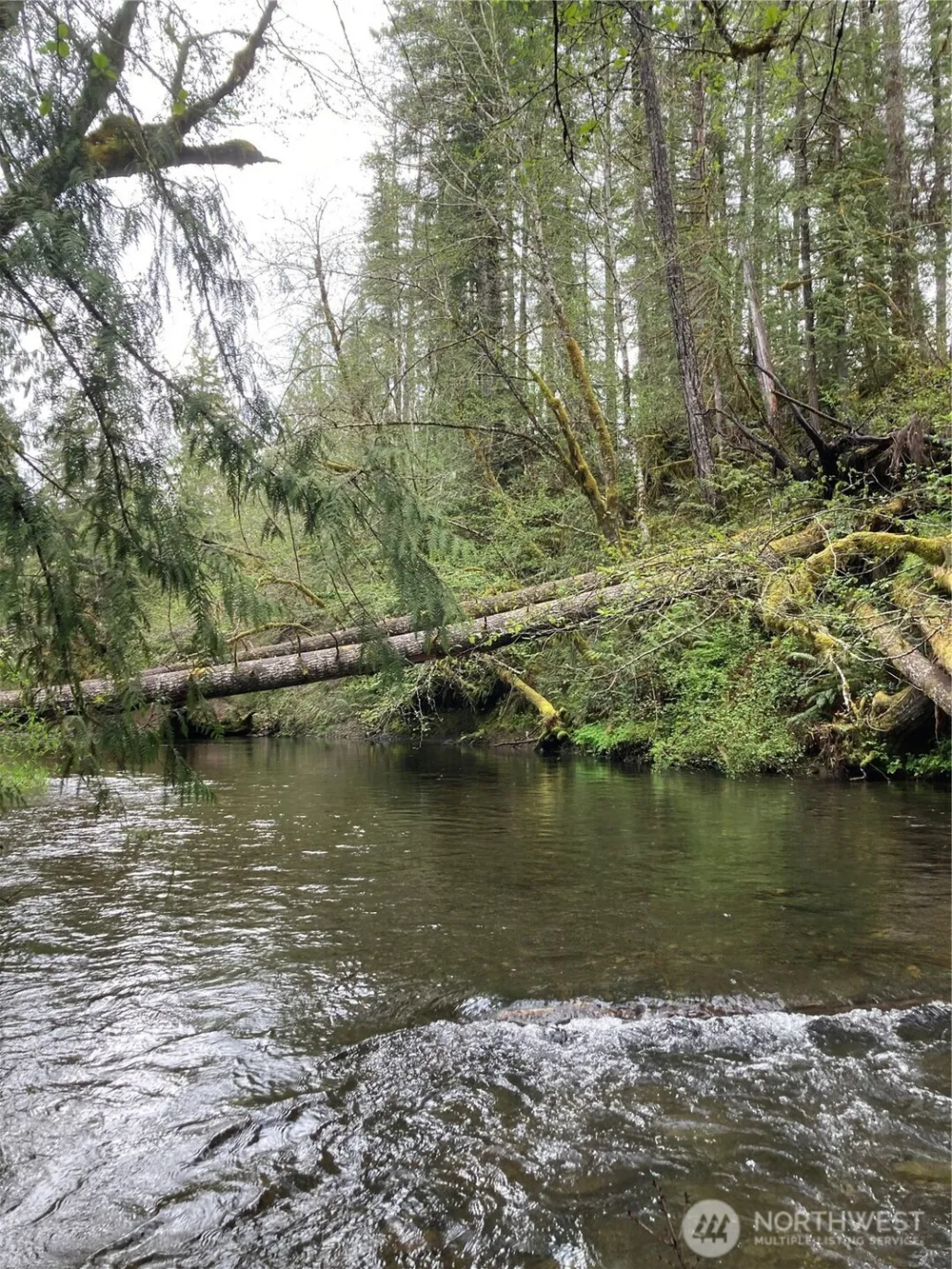 0 East of Bingham Creek Elma, WA 98541