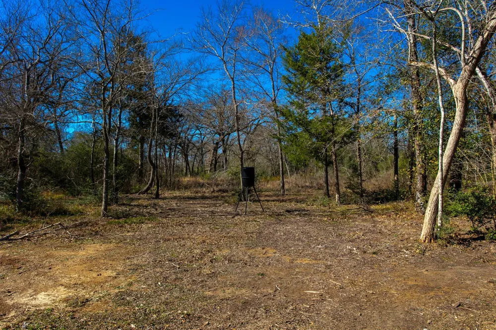 651 County Road 379 Caldwell, TX 77836