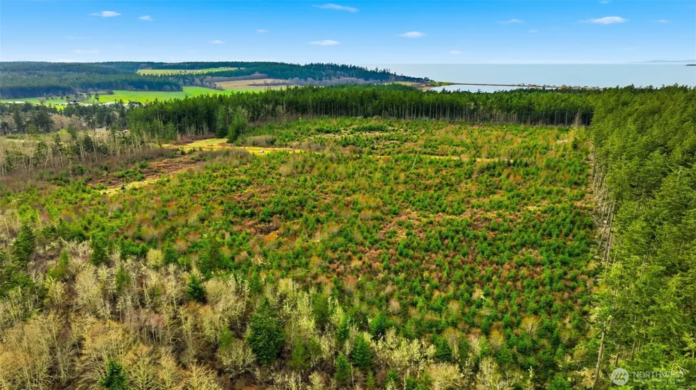 0 Swantown Road Oak Harbor, WA 98277