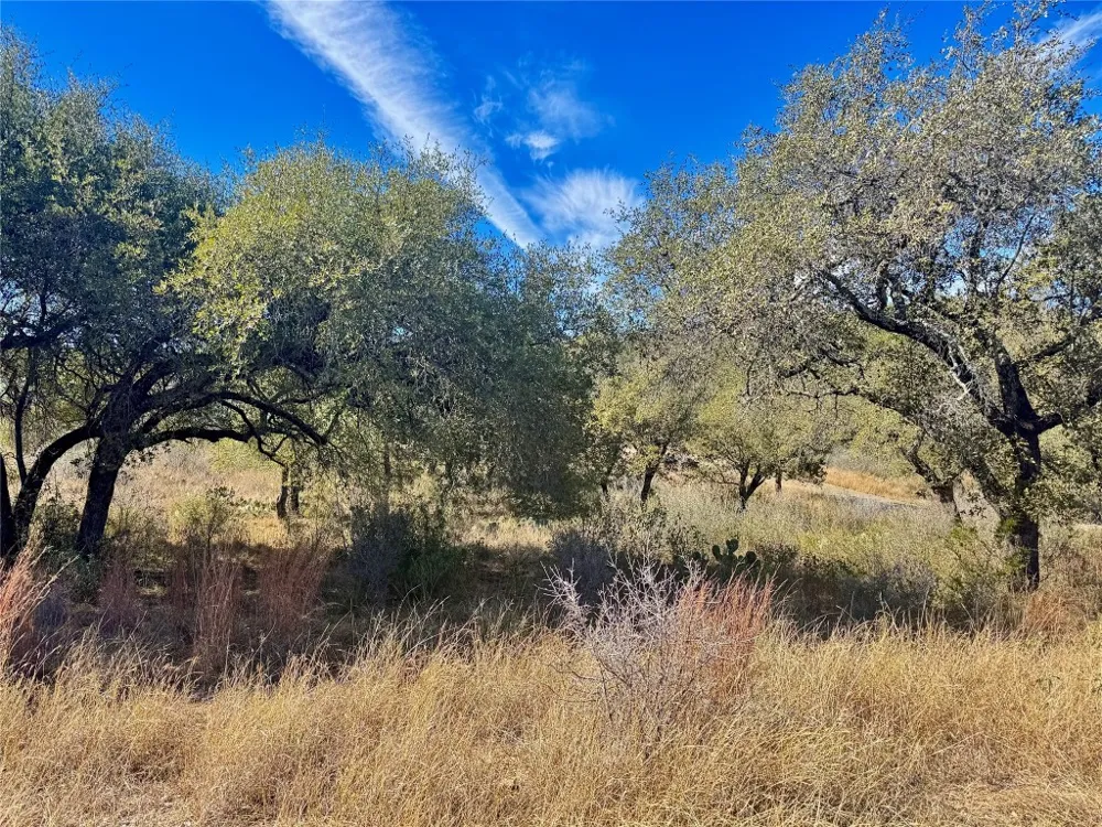 33 Prince Peak Street Cottonwood Shores, TX 78657