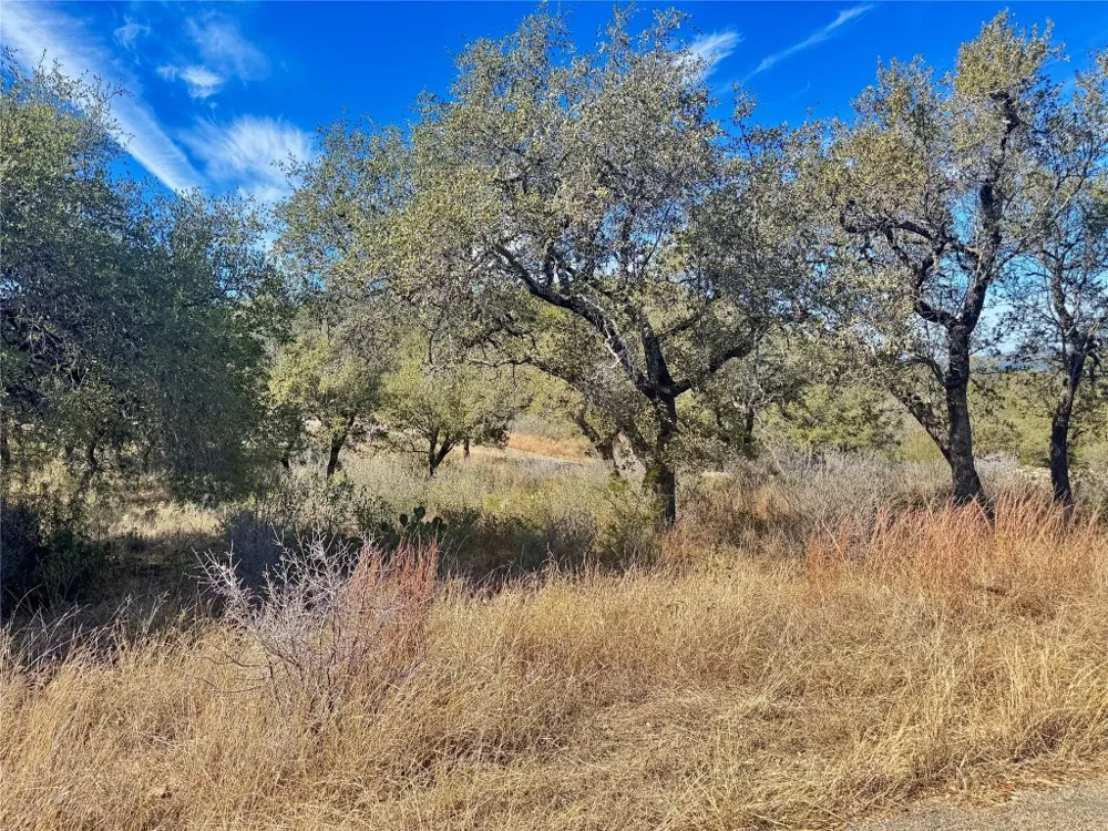 33 Prince Peak Street Cottonwood Shores, TX 78657