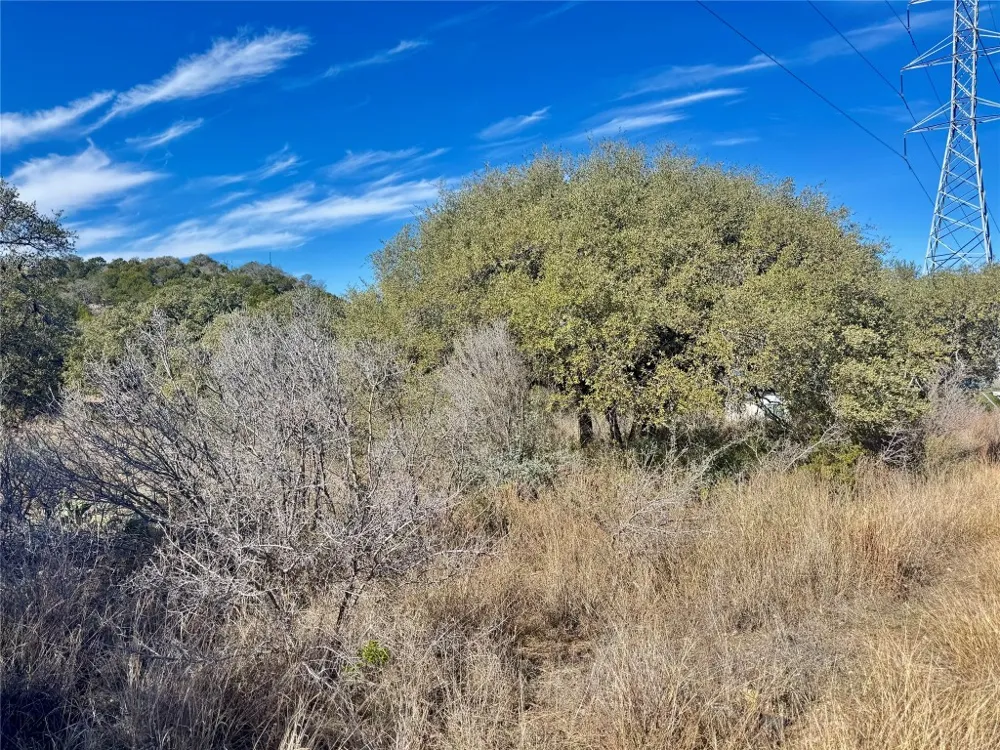 33 Prince Peak Street Cottonwood Shores, TX 78657