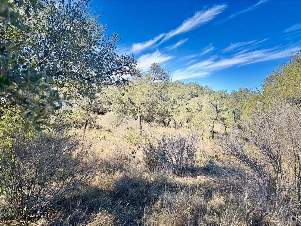 33 Prince Peak Street Cottonwood Shores, TX 78657