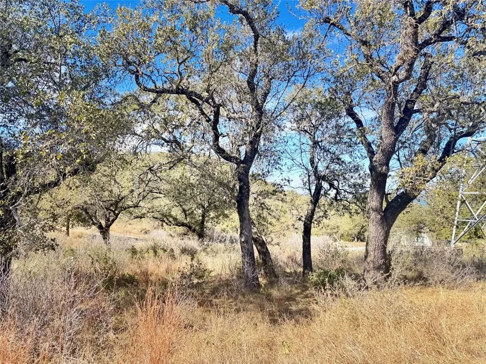33 Prince Peak Street Cottonwood Shores, TX 78657