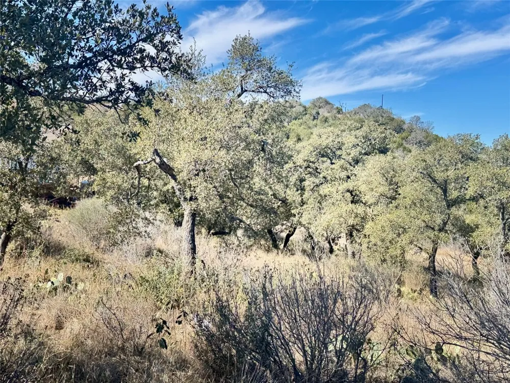 33 Prince Peak Street Cottonwood Shores, TX 78657