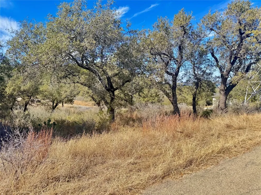 33 Prince Peak Street Cottonwood Shores, TX 78657