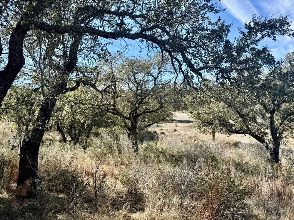 33 Prince Peak Street Cottonwood Shores, TX 78657