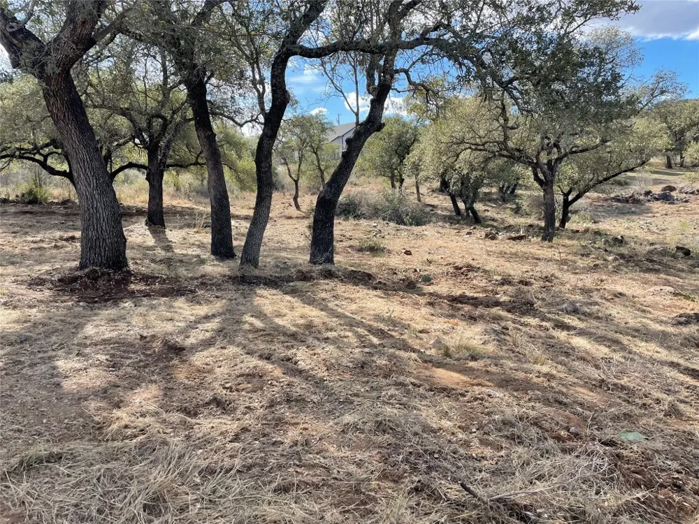 33 Prince Peak Street Cottonwood Shores, TX 78657
