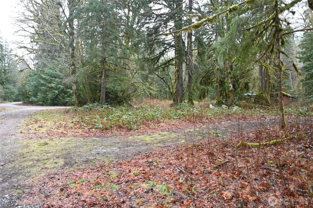 63645 NE 190th Street Baring, WA 98224