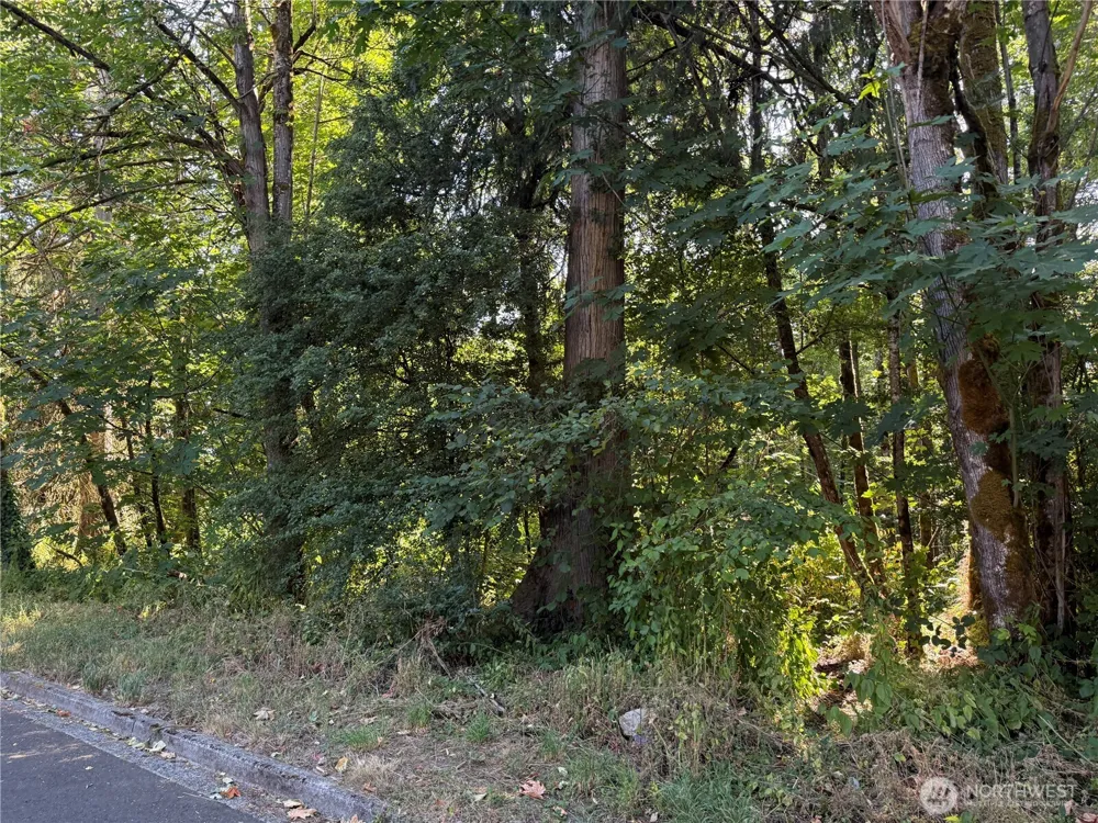 32257 39th Avenue S Federal Way, WA 98001