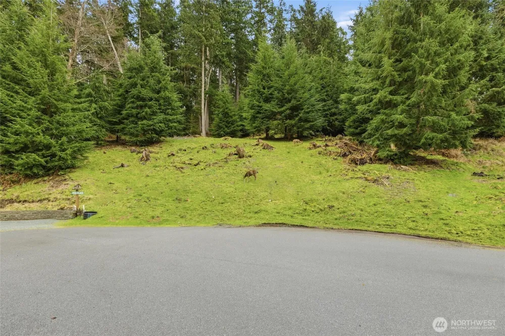 5184 Ridgeline Place Oak Harbor, WA 98277