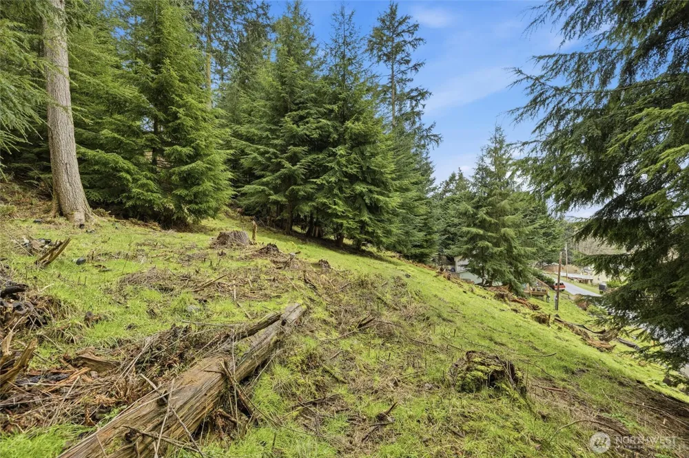 5184 Ridgeline Place Oak Harbor, WA 98277