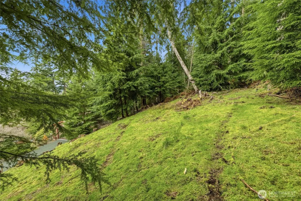 5184 Ridgeline Place Oak Harbor, WA 98277