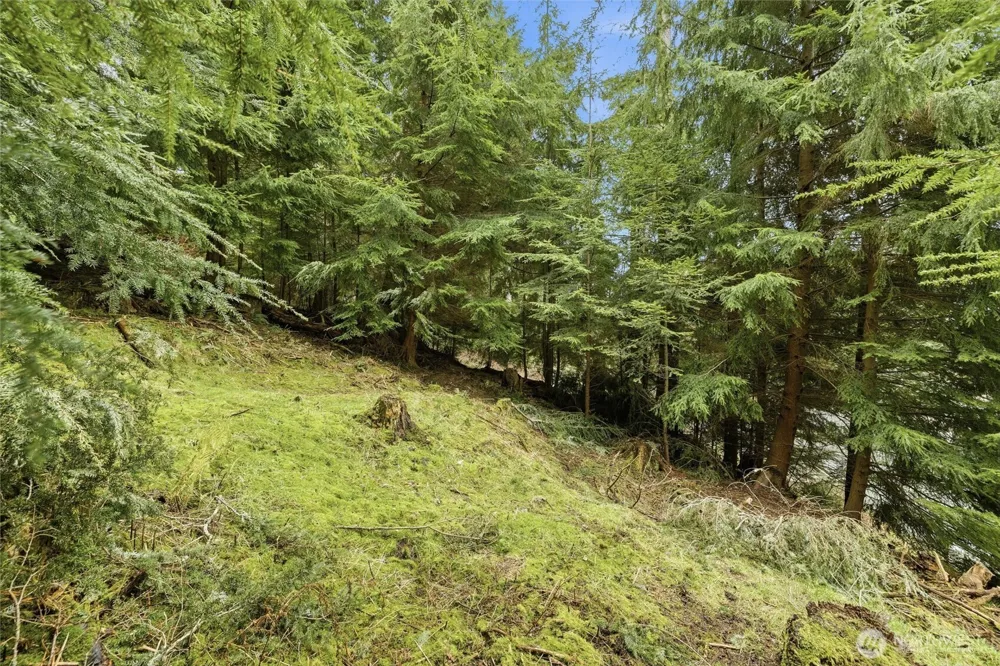 5184 Ridgeline Place Oak Harbor, WA 98277