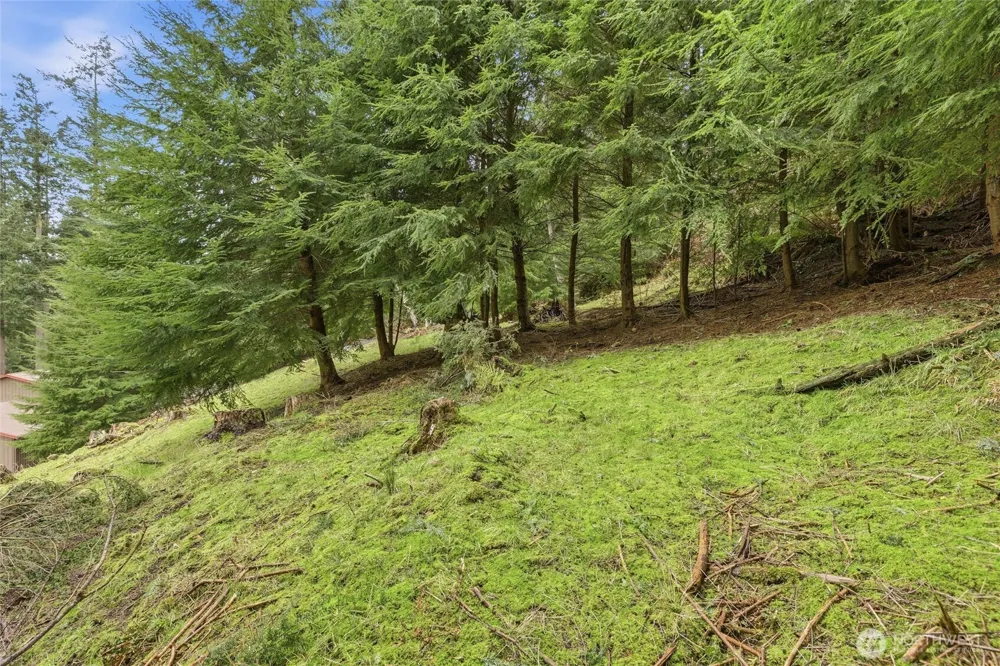5184 Ridgeline Place Oak Harbor, WA 98277