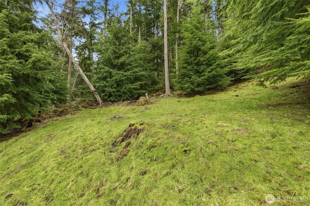5184 Ridgeline Place Oak Harbor, WA 98277