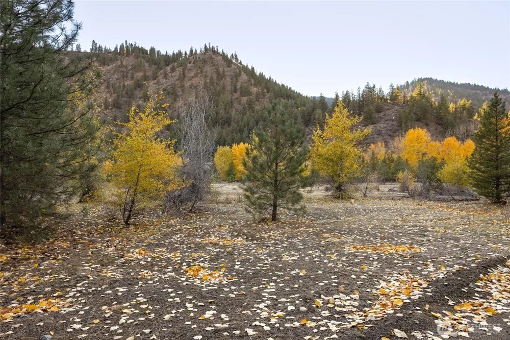 309 Mad Ranch Lane Entiat, WA 98822