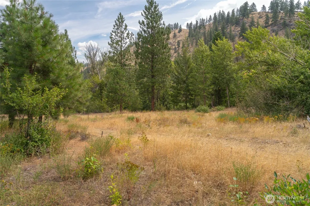 309 Mad Ranch Lane Entiat, WA 98822