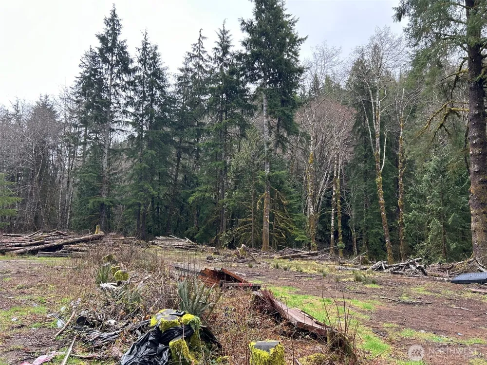155 Ocean Beach Road Hoquiam, WA 98550