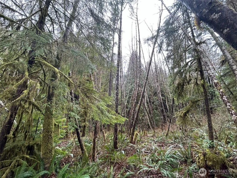 155 Ocean Beach Road Hoquiam, WA 98550