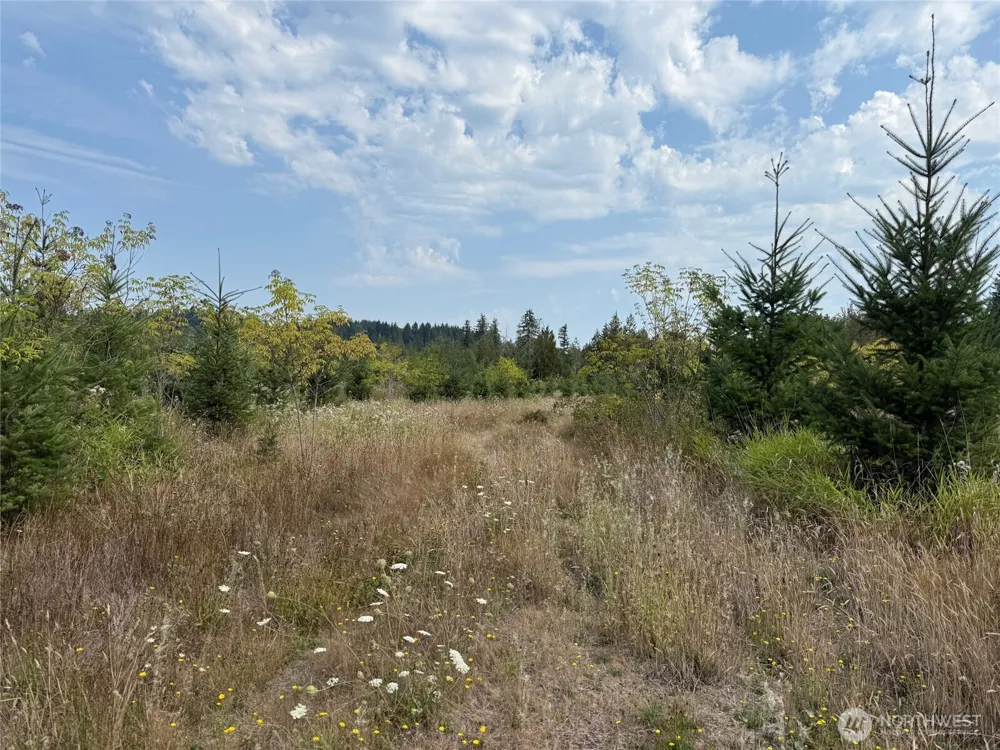 14 xx Spencer Road Onalaska, WA 98570
