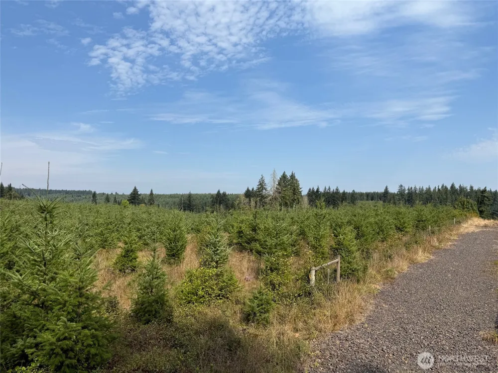 14 xx Spencer Road Onalaska, WA 98570